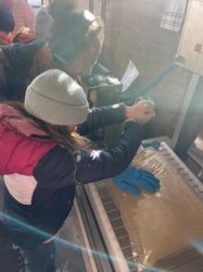 WhatsApp Bild 2025 10 03 Um 11.31.34 9a791f11 Klein